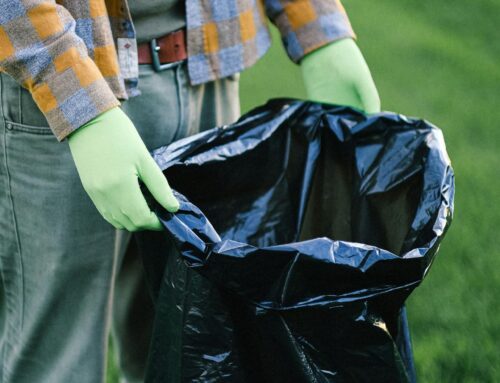 What to Do If You Miss Garbage Day