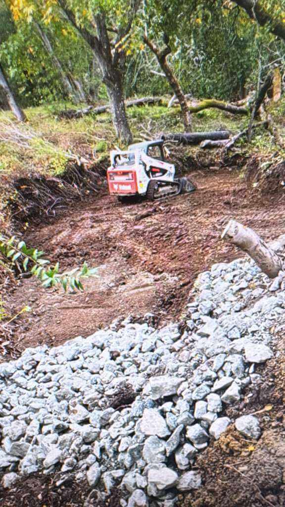 bobcat-land-clearing